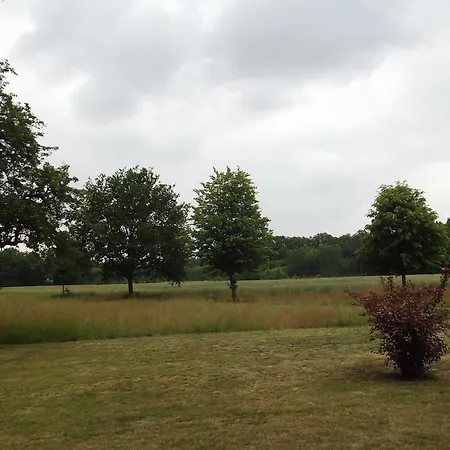 Wiesenblick Apartamento *